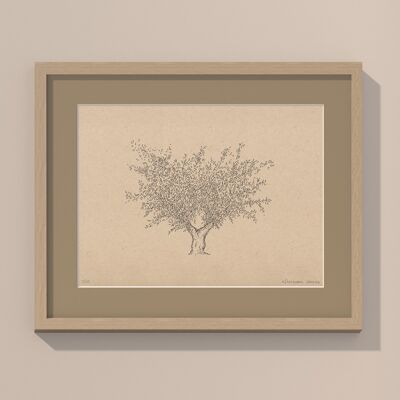 Olivenbaum mit Passepartout und Rahmen | 30cm x 40cm | Linoleum