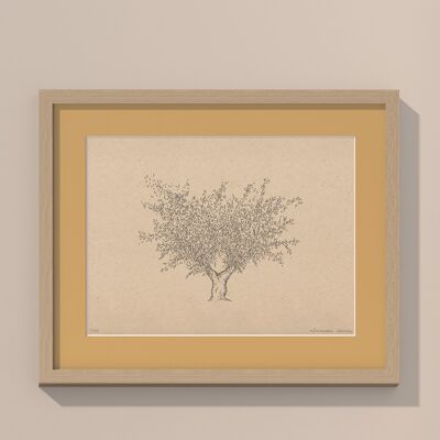Olive tree with passe-partout and frame | 30cm x 40cm | noce