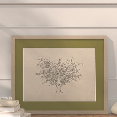 Olive tree with passe-partout and frame | 30cm x 40cm | Olivo