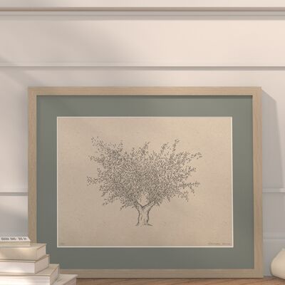 Olivenbaum mit Passepartout und Rahmen | 30cm x 40cm | salvia