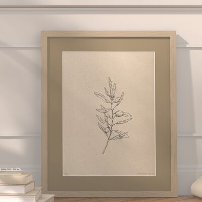 Olivenzweig mit Passepartout und Rahmen | 30cm x 40cm | Linoleum