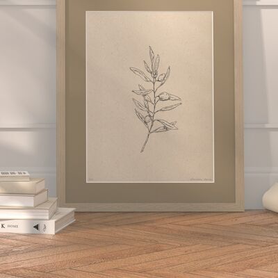 Olive branch with passe-partout and frame | 30cm x 40cm | lino