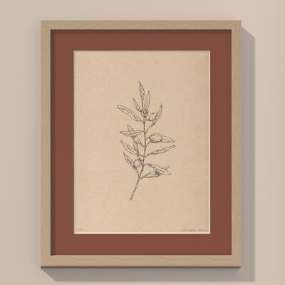Rama de olivo con paspartú y marco | 30cm x 40cm | Casa Otellic