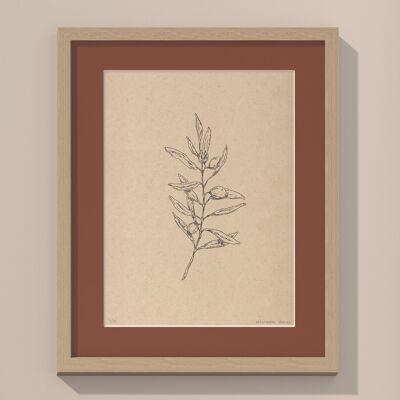Rama de olivo con paspartú y marco | 30cm x 40cm | Casa Otellic