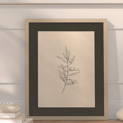 Olive branch with passe-partout and frame | 30cm x 40cm | Cavolo Nero