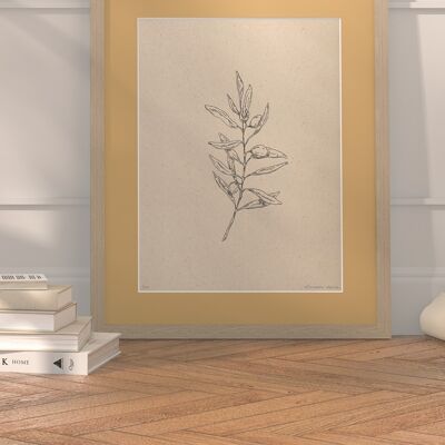 Olive branch with passe-partout and frame | 30cm x 40cm | noce