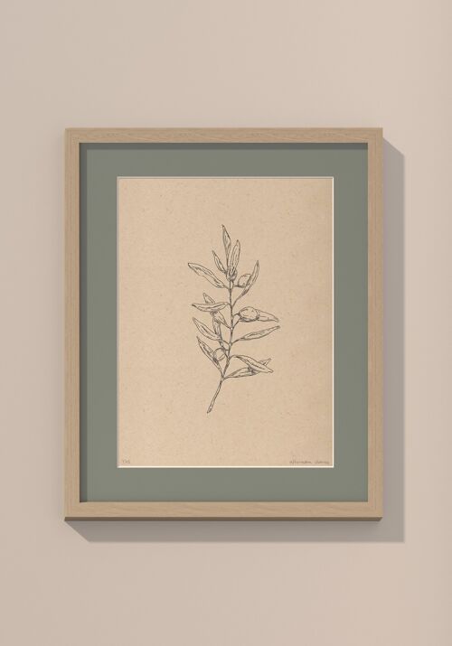 Olijftak met passe-partout en lijst | 30 cm x 40 cm | Salvia