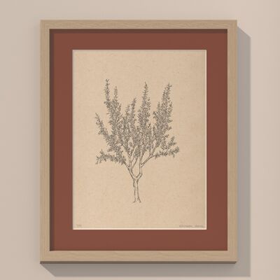 Almond tree with passe-partout and frame | 30cm x 40cm | Casa Otellic