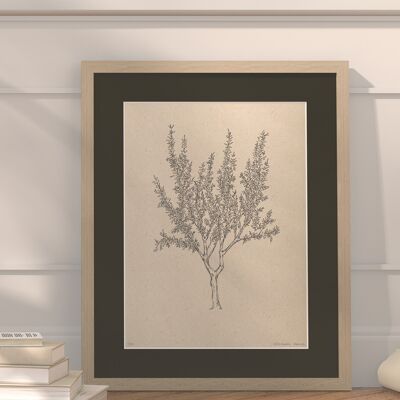 Almond tree with passe-partout and frame | 30cm x 40cm | Cavolo Nero
