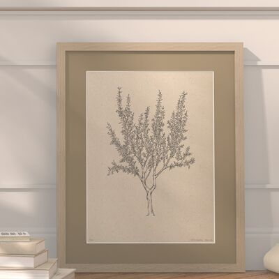 Almond tree with passe-partout and frame | 30cm x 40cm | lino