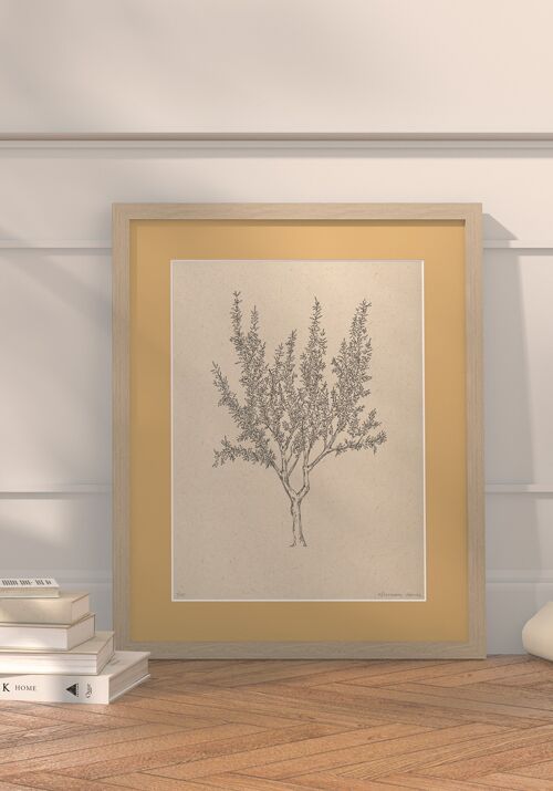 Buy wholesale Almond tree with passe-partout and frame, 30cm x 40cm