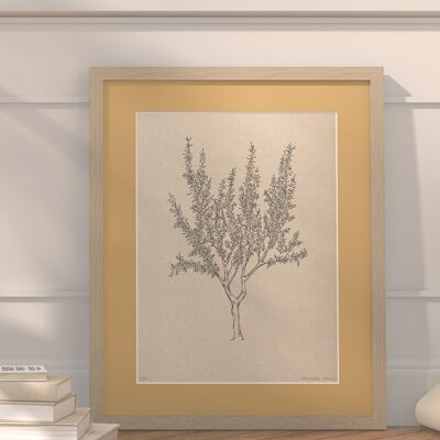 Almond tree with passe-partout and frame | 30cm x 40cm | noce