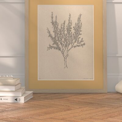 Almond tree with passe-partout and frame | 30cm x 40cm | noce