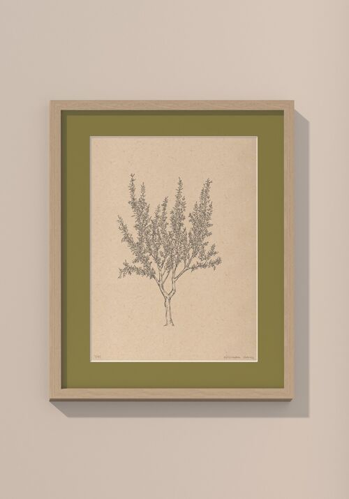 Amandelboom met passe-partout en lijst | 30 cm x 40 cm | Olivo