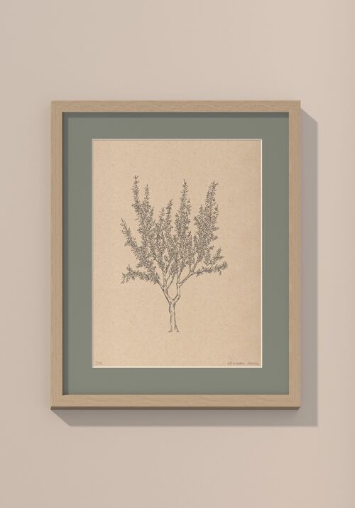 Amandelboom met passe-partout en lijst | 30 cm x 40 cm | Salvia