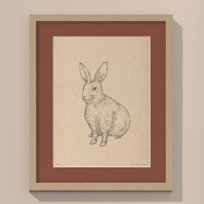 Coniglio con passe-partout e cornice | 30 cm x 40 cm | Casa Otellic