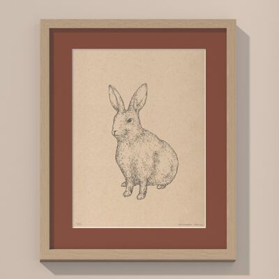Kaninchen mit Passepartout und Rahmen | 30cm x 40cm | Casa Otellic