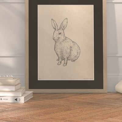 Rabbit with passe-partout and frame | 30cm x 40cm | Cavolo Nero
