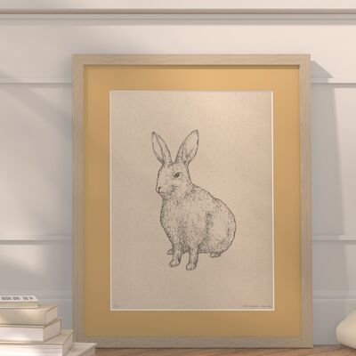 Rabbit with passe-partout and frame | 30cm x 40cm | noce