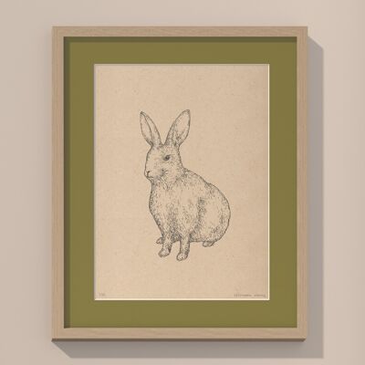 Conejo con paspartú y marco | 30cm x 40cm | Olivo