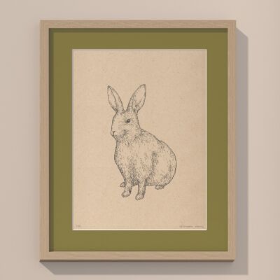 Lapin avec passe-partout et cadre | 30cmx40cm | Olivo