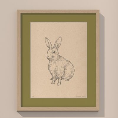 Coniglio con passe-partout e cornice | 30 cm x 40 cm | Olivo