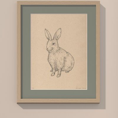 Coniglio con passe-partout e cornice | 30 cm x 40 cm | salvia