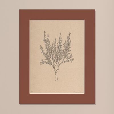 Print Almond tree with passe-partout | 30cm x 40cm | Casa Otellic