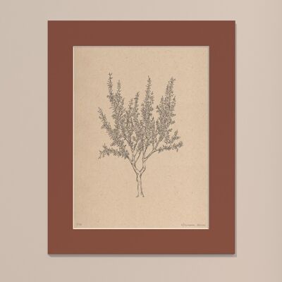 Print Almond tree with passe-partout | 30cm x 40cm | Casa Otellic