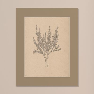 Drucken Mandelbaum mit Passepartout | 30cm x 40cm | Linoleum