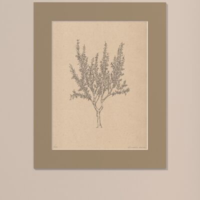 Drucken Mandelbaum mit Passepartout | 30cm x 40cm | Linoleum