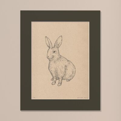 Stampa Coniglio con passe-partout | 30 cm x 40 cm | Cavolo Nero