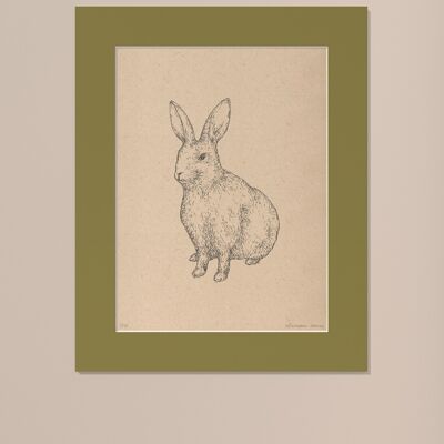 Stampa Coniglio con passe-partout | 30 cm x 40 cm | Olivo