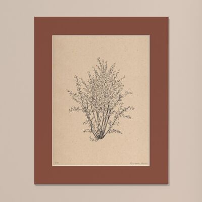 Print Hazelnut tree with passe-partout | 30cm x 40cm | Casa Otellic