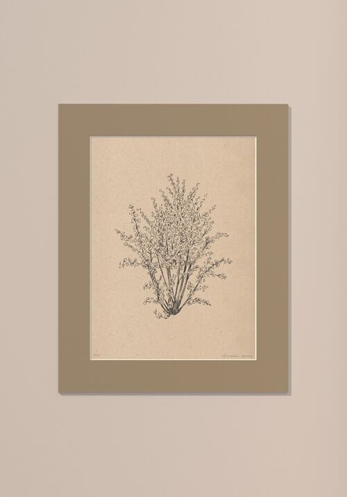 Print Hazelnootboom met passe-partout | 30 cm x 40 cm | Lino