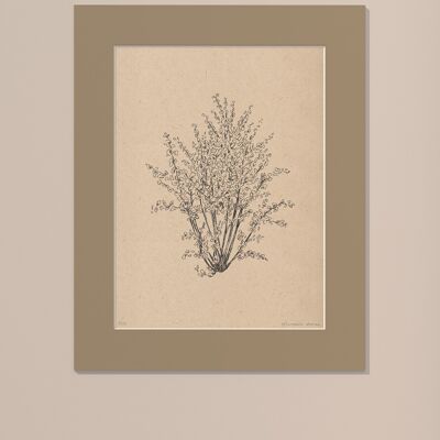Drucken Haselnussbaum mit Passepartout | 30cm x 40cm | Linoleum