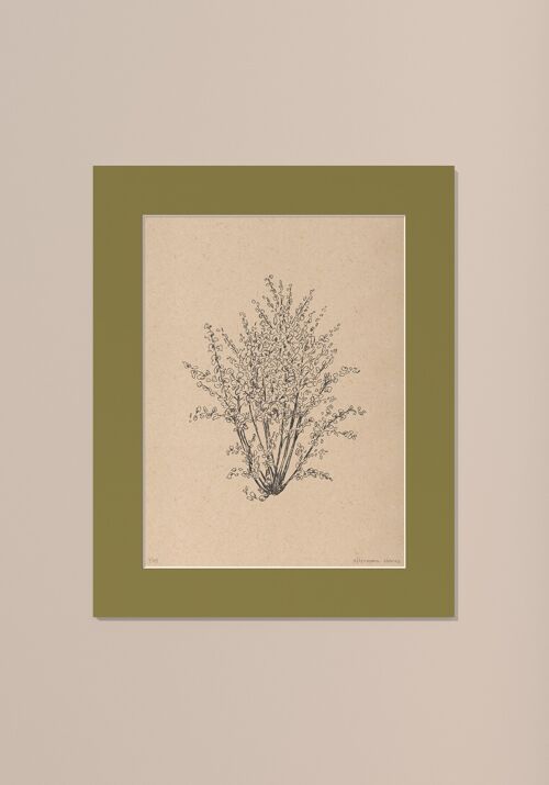 Print Hazelnootboom met passe-partout | 30 cm x 40 cm | Olivo