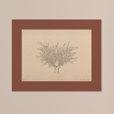 Print Olive tree with passe-partout | 30cm x 40cm | Casa Otellic