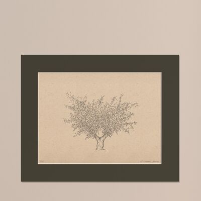 Drucken Olivenbaum mit Passepartout | 30cm x 40cm | Cavolo Nero