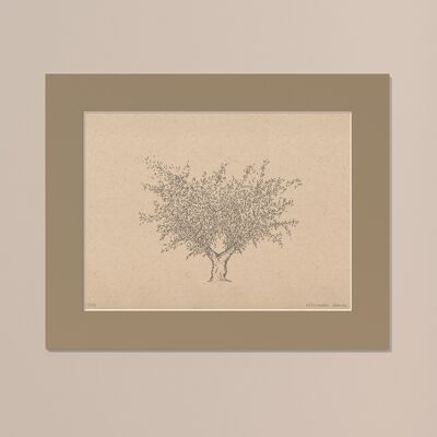 Drucken Olivenbaum mit Passepartout | 30cm x 40cm | Linoleum