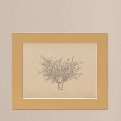 Print Olive tree with passe-partout | 30cm x 40cm | noce