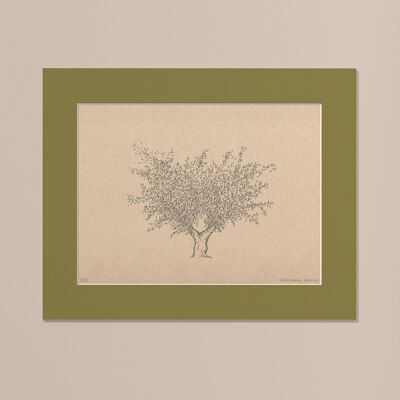 Drucken Olivenbaum mit Passepartout | 30cm x 40cm | Olivo