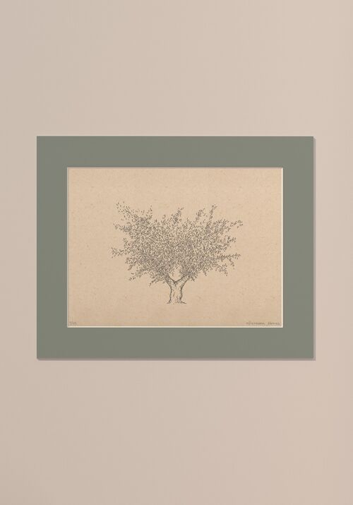 Print Olijfboom met passe-partout | 30 cm x 40 cm | Salvia