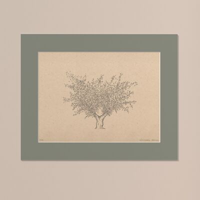 Print Olive tree with passe-partout | 30cm x 40cm | salvia