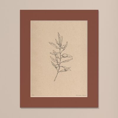 Print Olive branch with passe-partout | 30cm x 40cm | Casa Otellic