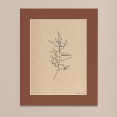 Print Olive branch with passe-partout | 30cm x 40cm | Casa Otellic