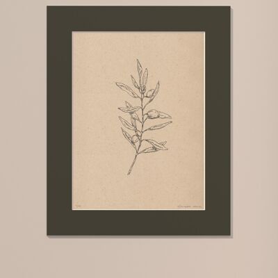 Print Olive branch with passe-partout | 30cm x 40cm | Cavolo Nero