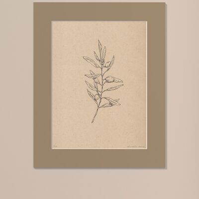 Drucken Olivenzweig mit Passepartout | 30cm x 40cm | Linoleum