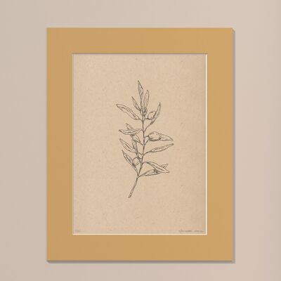 Print Olive branch with passe-partout | 30cm x 40cm | noce