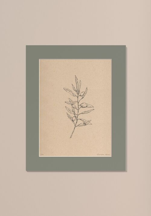 Print Olijftak met passe-partout | 30 cm x 40 cm | Salvia